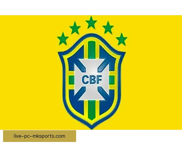 从阿根廷足球队徽看蓝白荣耀传承与南美足球精神象征的历史文化内涵